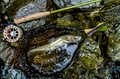 【渓流釣り】夏バテ？ 食い渋り？ 「粘り勝ち！ 執念で釣った尺イワナ」 姫川支流、長野県 2025年の画像005