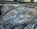 かさばる「冬キャンプ」ギア対策に！ 主要アイテムチェンジで「軽量化20kg」実践！ テント場「快適アクセス＆モビリティ術」レポの画像002