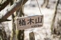 【首都圏近郊で3月末に登るなら】富士山の大展望台「三国山（鉄砲木ノ頭）」がおすすめなわけの画像012