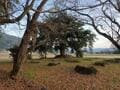 京都・亀岡市に静かにたたずむ「牛松山」 愛宕神社の発祥＆保津川下りの聖地… 山頂まで約1時間半のハイキングでわかった意外な歴史とは！  穴場的「低山レポ」の画像027