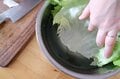 「キャンプでも野菜を摂ろう」シャキシャキのレタスが決め手！  BBQのおともに最適な＜グリーンベジサンド＞の作り方【季節の外ごはん vol.45】の画像002