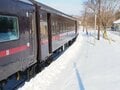 「えっ！？　汽車の窓からタンチョウが！」鉄道で楽しむ冬の旅【北海道・厳冬の釧路湿原レポート（4）SL冬の湿原号】の画像009