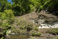 【渓流釣り】まるで水生昆虫の見本市！ おびただしい数の虫たちにライズがボコボコ、銀ピカ砲弾ヤマメがロッドを絞る  「感動的な初夏の川辺のシンフォニー」 “千曲川水系” 新潟県・2024年の画像002