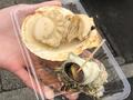 東京から90分で神々しい「海と鳥居と日の出」の絶景！「はみ出る」絶品海鮮ランチ！「海の街」茨城・大洗のおすすめ観光スポット3選の画像003