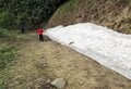 【苗場プリンスホテル】初夏の苗場で山からの贅沢な贈り物「根曲がり竹」を採ってきた！  竹藪の中を分け入る「非日常体験」レポ（新潟県湯沢町）の画像008