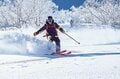 「ニセコ、ルスツ、キロロ、トマム、テイネ」ほか、パウダーフリーク “垂涎の的”【ツリーランが滑れる全国スキー場ガイド vol.1  北海道 編】の画像008