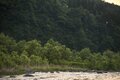 【渓流釣り】まるで水生昆虫の見本市！ おびただしい数の虫たちにライズがボコボコ、銀ピカ砲弾ヤマメがロッドを絞る  「感動的な初夏の川辺のシンフォニー」 “千曲川水系” 新潟県・2024年の画像004