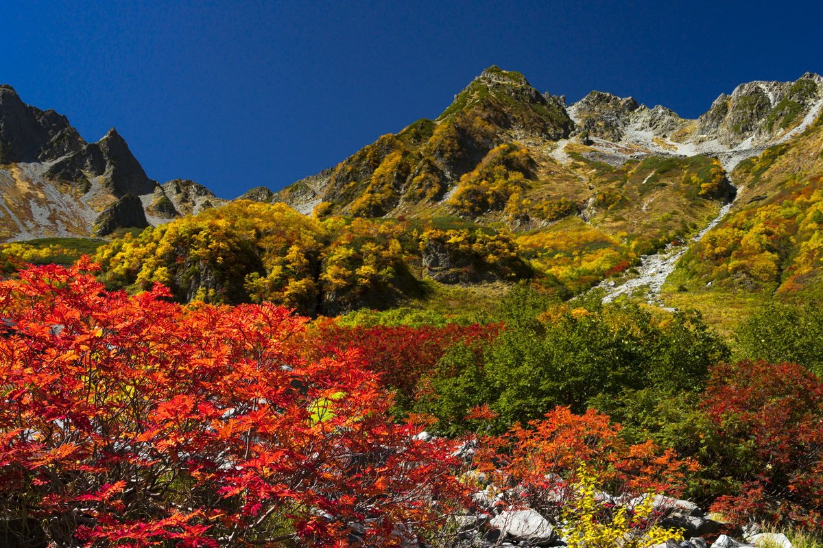 彩りも人出も最高潮 21年 秋 涸沢カールの紅葉事情と 驚異の写真 概要 登山 ニュース Bravo Mountain