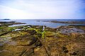 【夏休みの思い出作りに歩きたい】ギラつく太陽＆海風が気持ちいい「絶景の海岸線ハイク」南北2選【今日も山旅気分 vol.33】の画像005