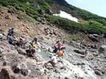 【花と温泉を楽しむ登山】日本一のチングルマ大群生地！ 「大雪山の裾合平」 2023年・北海道の画像004