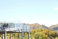 今週末の紅葉見るならどこ？ 名所＆人気スポットから最新情報をお届け「WEEKLY紅葉ニュース」【2023年10月第3週】の画像014
