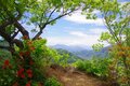 「この景色が見たくてまた登る」ツツジに彩られる山梨県大月市の駅近名低山＜菊花山＞【今日も山旅気分 vol.40】の画像003