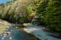 【渓流釣り】新緑キラめく渓谷へ！  歴史ある「塩原温泉」を流れる箒川キャッチ＆リリース区間でフライフィッシング  栃木県｜2026年の画像003