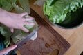 「キャンプでも野菜を摂ろう」シャキシャキのレタスが決め手！  BBQのおともに最適な＜グリーンベジサンド＞の作り方【季節の外ごはん vol.45】の画像001