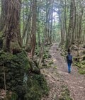 「気軽に、気持ちよく、楽しく歩く」 ゴールデンウィークは「フラット登山」を楽しもう！  日本最強の異世界「富士山 青木ヶ原樹海をくぐり抜ける」【後編】の画像004