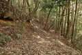 次々に現れる切岸に驚きの連続！  大勢力のはざまで揺れた小豪族の宿命　石見国・松山城〈前編〉（島根県江津市）【戦国の山城を攻める vol.03】の画像002