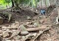 【神奈川県】丹沢大山から七沢温泉郷「登山プラス温泉」の天国コンボ！「ミシュラン2つ星の絶景」のあとの大山の天然水仕込み『AFURI総本店』「柚子塩らーめん」と地ビール！の画像003