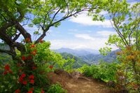 「この景色が見たくてまた登る」ツツジに彩られる山梨県大月市の駅近名低山＜菊花山＞【今日も山旅気分 vol.40】