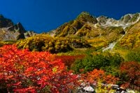 彩りも人出も最高潮！【2021年・秋】涸沢カールの紅葉事情と「驚異の写真」