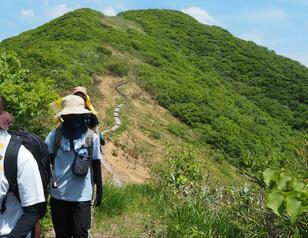 春登山の「花粉」対策！  目や鼻を守って快適に歩ける「必須ギア3選」＆飛散が「少ない場所と時間帯」で避ける方法