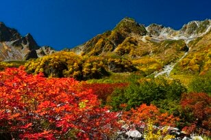 彩りも人出も最高潮！【2021年・秋】涸沢カールの紅葉事情と「驚異の写真」