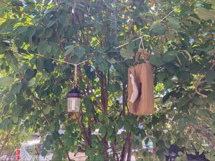 漢字だらけでカタそうな「警視庁警備部災害対策課」Twitterが教えてくれた「キャンプでも役立つ情報」を実際試してみた結果とは？