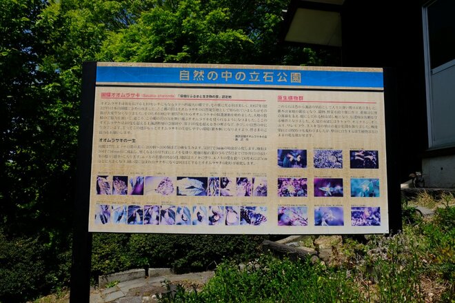 【御柱祭だけじゃもったいない！】諏訪にせっかく来たら足を延ばしたい『君の名は。』の聖地「立石公園の脇っちょ」がいま素晴らしい！の画像011