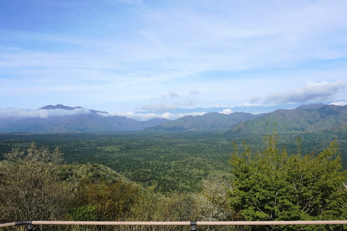 富士山」溶岩台地のたまもの！ 神秘的「青木ヶ原樹海」ハイキング＆「3つの洞穴」驚異の「自然の造形」レポート｜トラベル｜ニュース｜BRAVO  MOUNTAIN