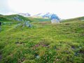 グライエアルプスの絶景を求めて標高3,438mのタオウ・ブランク山頂を目指す【ブーツの国の街角で vol.37】の画像007