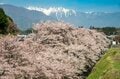 心ときめく！ 花盛りの伊那谷へ「山で、里で、春の渓流フライフィッシングを満喫」 【長野県・天竜川水系】の画像001