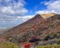 「紅葉」色づき70％！ 10月14日の九重連山「大船山」登山！ 名所「ピーク間近」現地レポの画像001