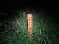 足元に広がる360度ビューの夜景！大阪平野から京都・奈良まで見渡せる「交野山ナイトトレイル」【里山アドベンチャー！ソトアソ日和 vol.3】の画像006