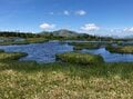 “まるっと楽しむ 尾瀬の山歩き” vol.2【群馬県 片品村】入山者数は最多！ 尾瀬の玄関口「鳩待峠」 憧れの木道歩き「尾瀬ヶ原」や高山植物の宝庫「至仏山」へアクセス良好！の画像009