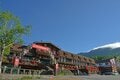 「北八ヶ岳ロープウェイ」360度の大パノラマに感動！  涼感あふれる絶景高原リゾート【長野県茅野市】の画像008