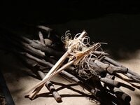 焚き火に役立つ「ほぼアート作品」！  フェザースティックの失敗しない作り方【焚き火の話vol.9】