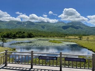 「日本でわずか5ヵ所」世界自然遺産の北海道・知床「滝の宝庫」で見るべき絶景バリーエーション「おすすめの滝」5選