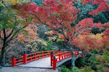 日本三景・安芸の宮島」の巨石群と「瀬戸内海の絶景」が見渡せる弥山