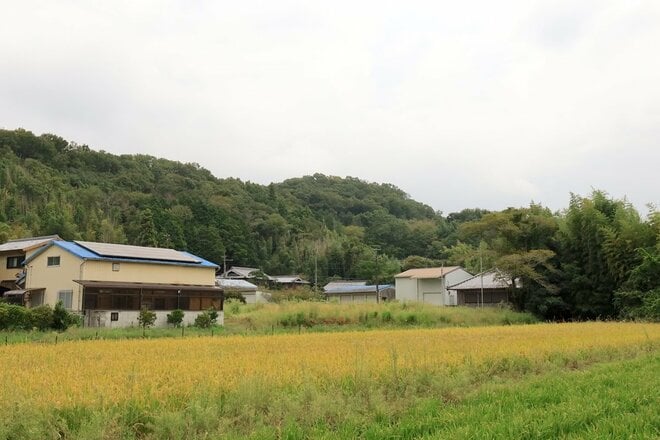 【NHK大河『豊臣兄弟！』ゆかりの城】突入するのはイノチガケ！？「播磨国・満田城〈前編〉」 城内地形に驚きの連続！（兵庫県三木市）【戦国の山城を攻める vol.07】の画像001