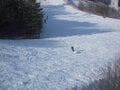 暖冬小雪の今シーズン「春時期の間違いない」スキー場選び【標高2,000m超】は国内に数えるほどしかない「天上の別世界」の画像004