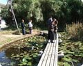 「世界のペンギン」の半分の種類が見られる「長崎ペンギン水族館」 一度は見たい！  かわいい“天然ビーチ”散歩＆マリンアクティビティも楽しめるの画像008