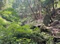 隠れた絶景スポット！  都心から1時間40分、アウトドア初心者でも楽しめる茨城県「宝篋山（ほうきょうさん）」極楽寺コースの「3つの魅力」の画像001