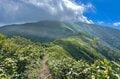 【登山】花の百名山は天空の楽園だった！「平標山の高山植物に魅了される夏」 新潟県・2023年の画像008