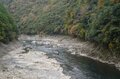 秋の京都は観光だけではもったいない！　紅葉と寺社と山をまるっと楽しむ！【2021年・秋】の画像015