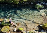 シン・サウナ村建設記