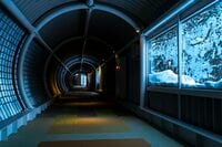 【絶景オンパレード！ 有名リゾートの隠れたスポット】厳しい寒さが作り出すアート！「窓霜の世界」 星野リゾート トマム  北海道｜2026年