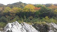 「石鎚山・吉野川・仁淀川」現地在住ライターが教える10月から11月の四国旅行で「絶対紅葉を外さない」ための基礎知識