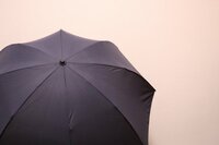 「スマホの半分！」超超軽量折りたたみ傘「驚異の76g」