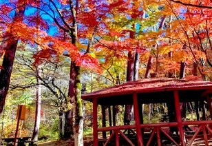 紅葉の名所「昇仙峡」とあわせて登りたい「羅漢寺山」 奇石がつくる渓谷美＆白砂の山をめぐる絶景！ 「秋ハイキング」レポート【山梨県甲府市】