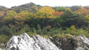 「石鎚山・吉野川・仁淀川」現地在住ライターが教える10月から11月の四国旅行で「絶対紅葉を外さない」ための基礎知識