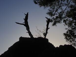 ゴールデンウィークには「ツツジ」が彩る、丹波「向山連山」 ユニーク岩たどる低山縦走＆「黒井城跡」見下す絶景レポート【兵庫県丹波市】